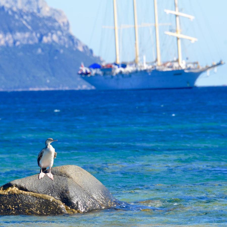 Casavacanza Golfo Aranci Luaran gambar