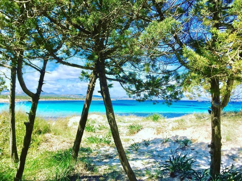 Casavacanza Golfo Aranci Luaran gambar